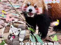 -北京野生动物园