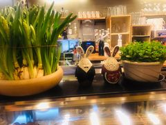-Cafe Alice咖啡爱丽丝(奥城店)