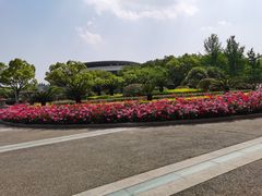 -杭州城北体育公园