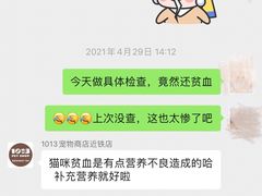 -1013 PET SHOP 宠物商店(近铁城市广场店)