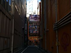 -秋叶原电器街
