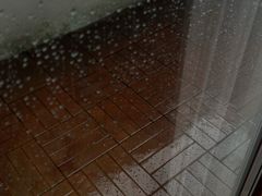 -佛山顺德香云纱园林酒店(清晖园店)