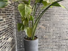 -火福·天湖阁大闸蟹博物馆主题餐厅(浅水湾店)