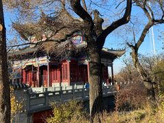 -北山公园