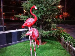 -喜鹊咖啡餐吧(北方中惠店)