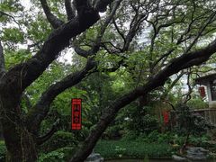 -广州兰圃