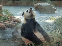 -上海野生动物园
