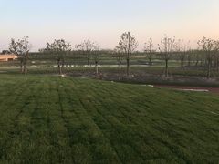 -春花秋色城市公园