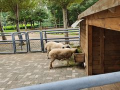 -长白岛森林公园