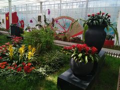 -上海鲜花港
