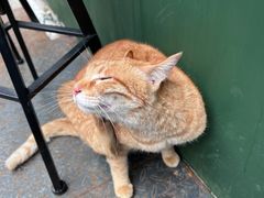 -SeekSeeking咖啡专门店(堰塘街店)