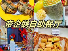 -帝企鹅自助餐厅•儿童岛•真企鹅(长隆企鹅酒店)