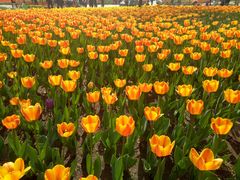 -长春公园(普阳街道)