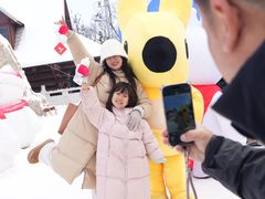 -少华山国家森林公园