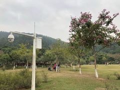 -火炉山森林公园