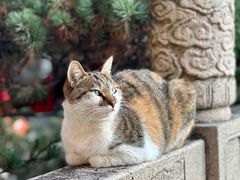 -西园戒幢律寺