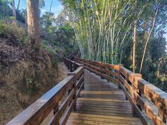 -水濂山森林公园