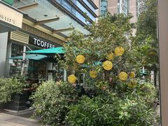 -街角 T·COFFEE 融合料理·BISTRO(车公庙店)