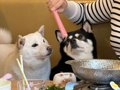 -柴の食堂·日式家庭料理·熊之肆(大学路店)
