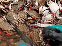 -一方渔歌蒸汽海鲜自助(文化路万达广场店)