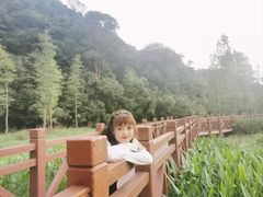 -广州市石门国家森林公园