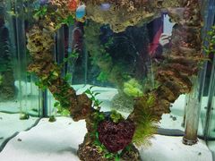 -太平洋海底世界