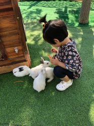 -萌宠亲子动物乐园(槐房万达店)