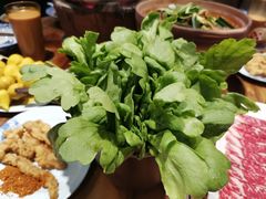 广东茼蒿-十六蒲(桂林路店)