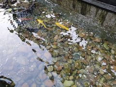 -九华山聚龙大酒店