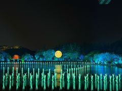-印象西湖·最忆是杭州实景演出
