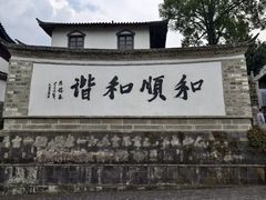 -邓氏大薄片