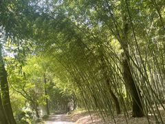-兰亭风景区