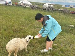 -呼和诺尔旅游景区