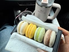 -BLACKSWAN黑天鹅(环球店)