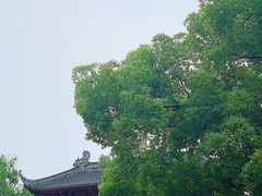 -四川大学(望江校区)