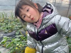 -青浦采草莓天天草莓园