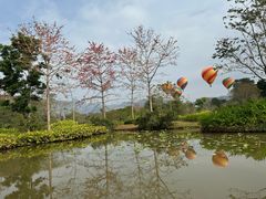 -中国科学院西双版纳热带植物园