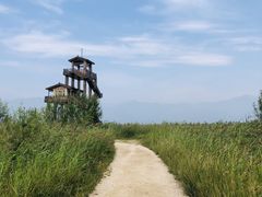 -野鸭湖国家湿地公园