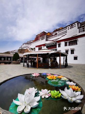 没去的人心生向往，去过的人念念不忘，这就是西藏；情不