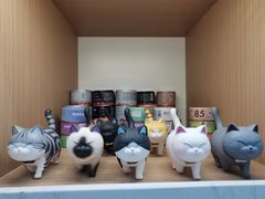 -喵园·猫主题咖啡厅·撸猫·猫咖(国贸店)