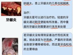 -申普宠物医院·心脏介入·心血管微创(总院)