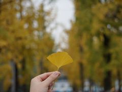 -百林公园-两江幸福广场