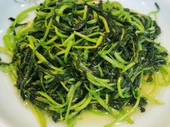 清炒鸡毛菜-怡和春天大酒楼(柳芳店)