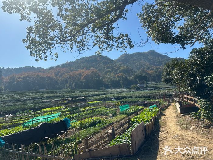 听风阁农家私房菜茶楼(龙坞店)图片