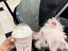 -李山山茶事(景枫店)
