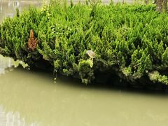 -苏州河梦清园环保主题公园