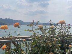 -望湖烤鱼