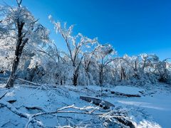 -中旅松花湖滑雪场