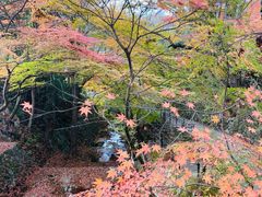 -三千院