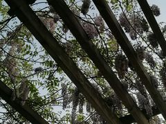 -黄兴公园